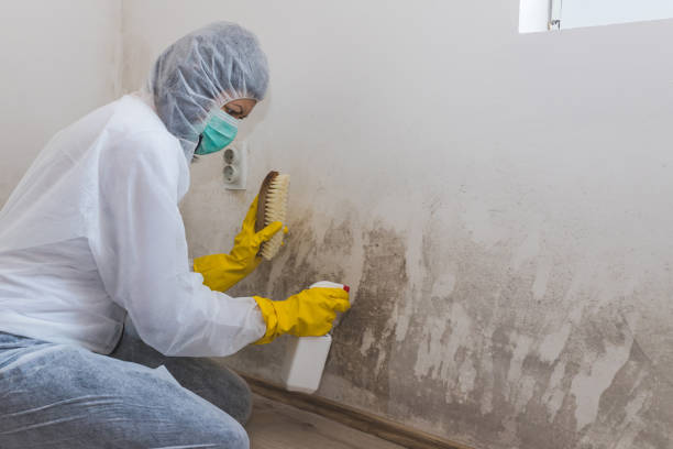 Best Bathroom Mold Remediation in Slocom, AL