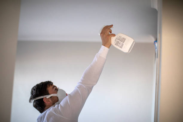 Best Preventive Mold Services in Slocom, AL