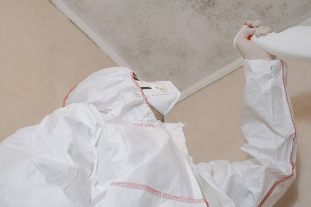 Best Residential Mold Remediation in Slocom, AL