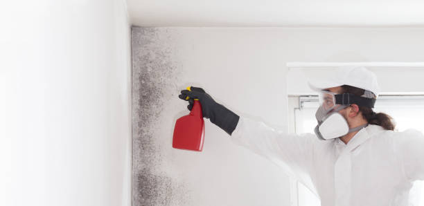 Best Crawl Space Mold Remediation in Slocom, AL